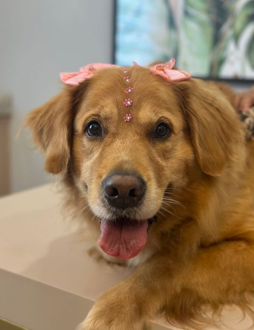 3884b730-5475-49a2-9dad-fee6b2ac7953