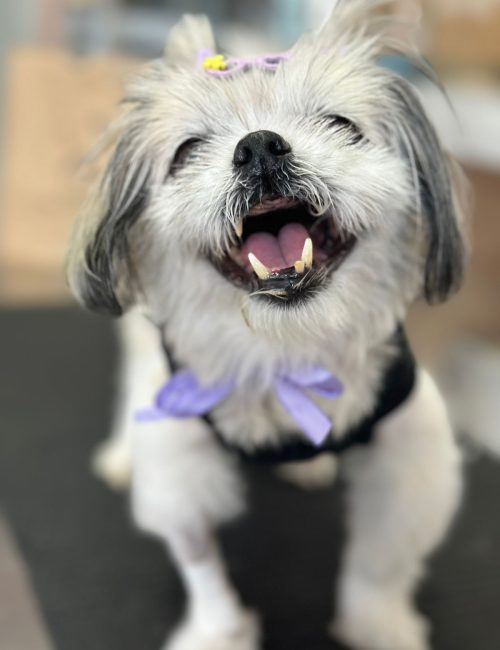 56f772cb-f892-443d-ba10-5c8c8b905428