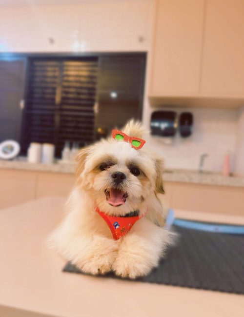 9d0af1a7-b9dd-47ce-8e5c-8dd96dc252d4